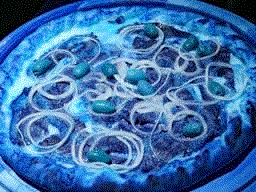 [sambabraziliangourmetpizz028.gif]