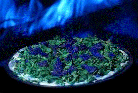 [sambabraziliangourmetpizz039.gif]