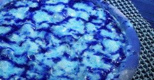 [sambabraziliangourmetpizz061.gif]
