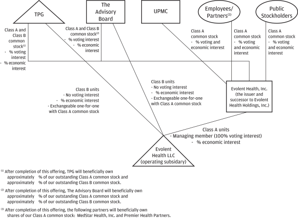 Wellstar Organizational Chart