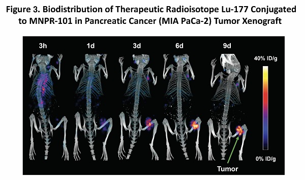 figure3lu177.jpg