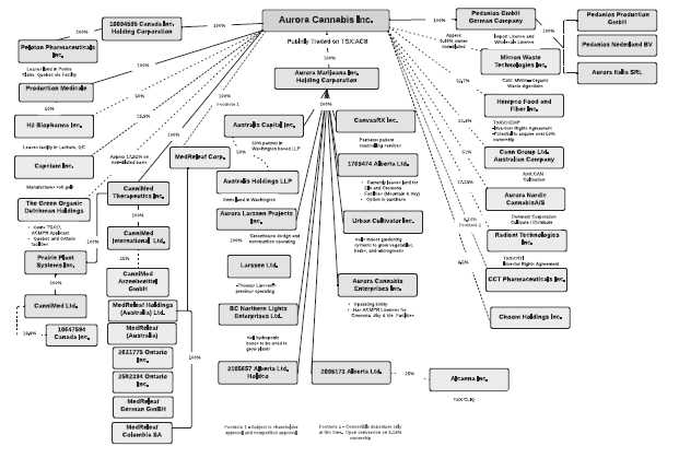 Uci Org Chart