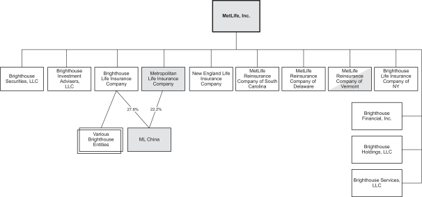 Metlife Organizational Chart 2018