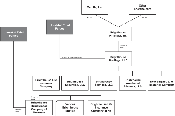 Metlife Organizational Chart