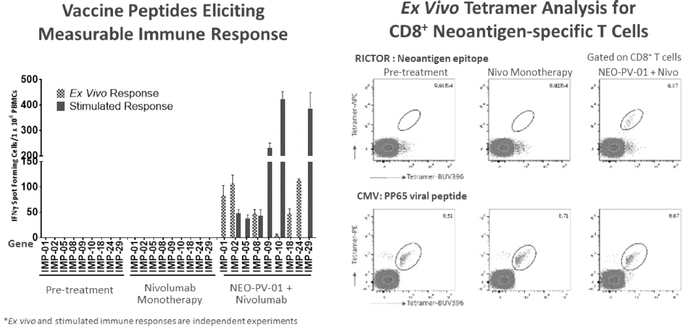 Neon Therapeutics Inc