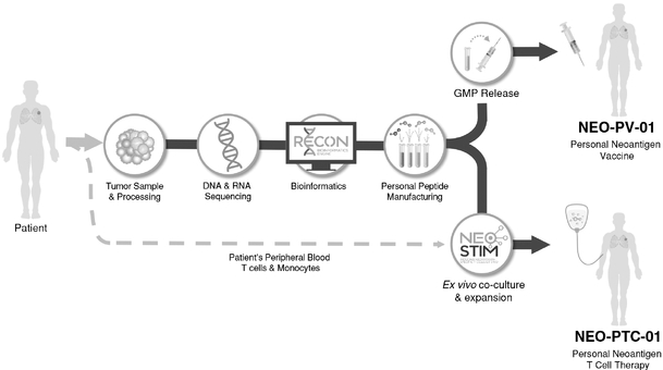 Neon Therapeutics Inc