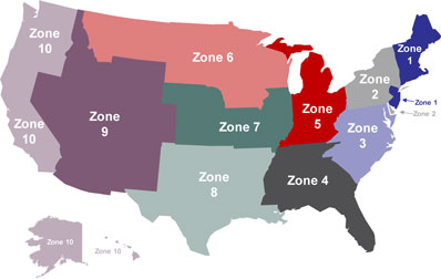 Usps Zone Chart 2016