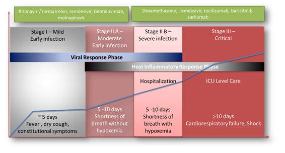 Metabolic Accelerator - Anti-Dizziness Augment, TFT