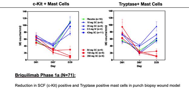 A diagram of different types of mast cells  Description automatically generated