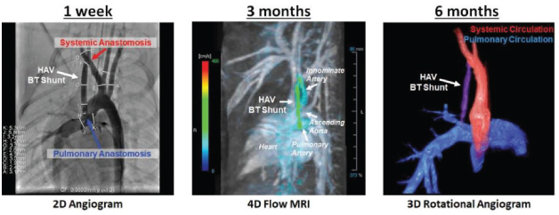 [MISSING IMAGE: tm2127058d1-ph_imaging4clr.jpg]