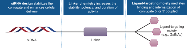 DOC) SLS573 Vs CESSEM Relationship.docx