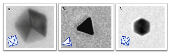 figure1v3.jpg