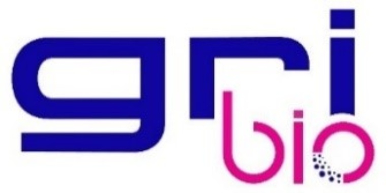 logo.jpg