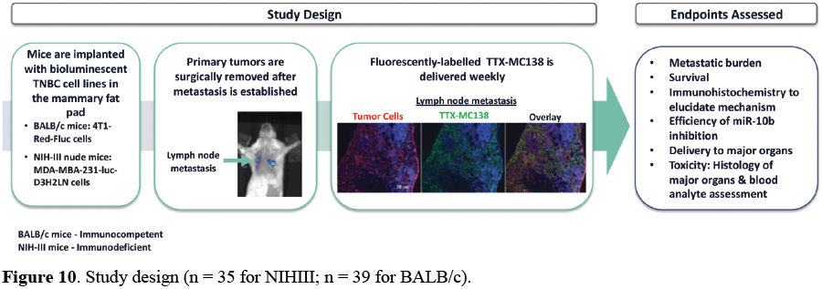 [MISSING IMAGE: tm2038085d2-fc_study4c.jpg]