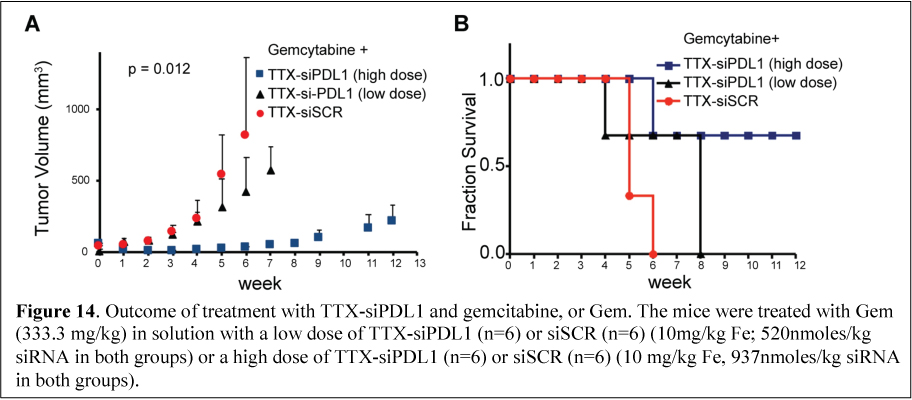 TransCode Therapeutics - SEC Filing