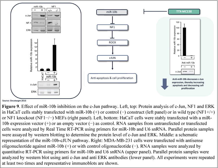 [MISSING IMAGE: tm2038085d10-bc_effect4clr.jpg]