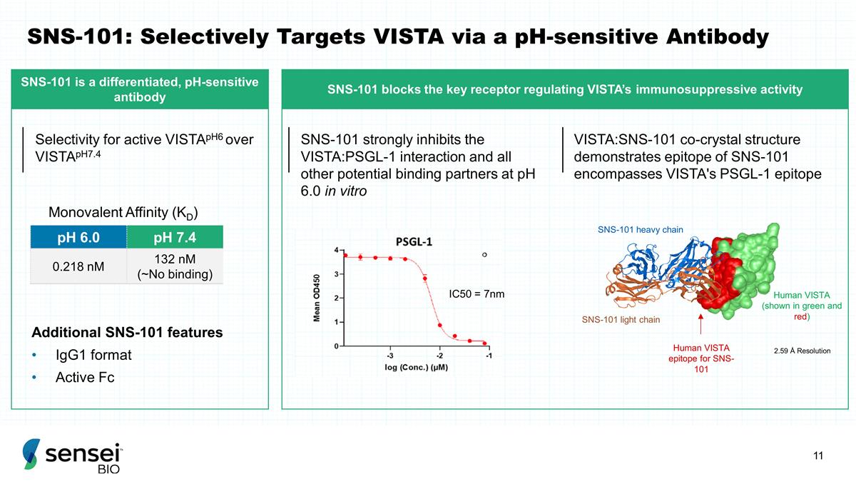 Slide 11