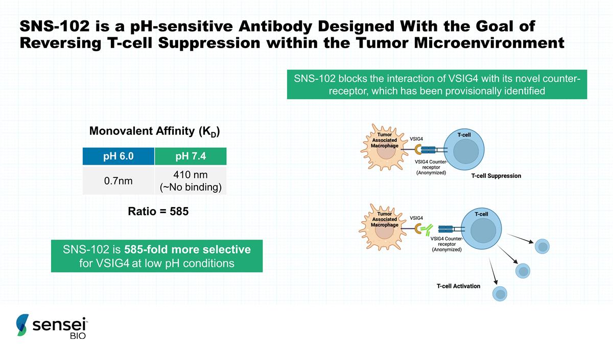 Slide 23