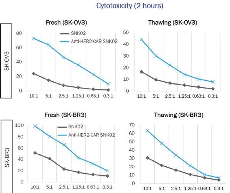 Cytotoxicity.jpg