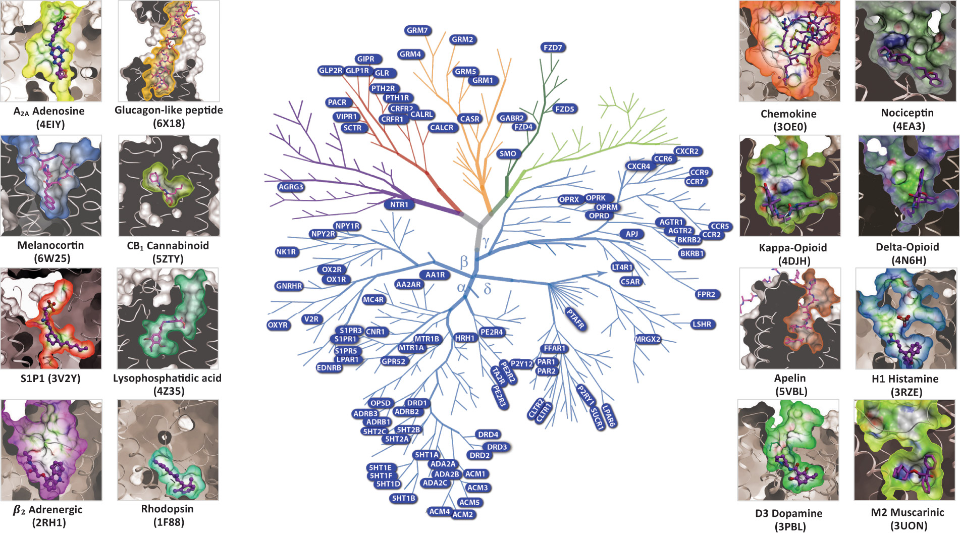 [MISSING IMAGE: tm225197d1-org_figure74c.jpg]