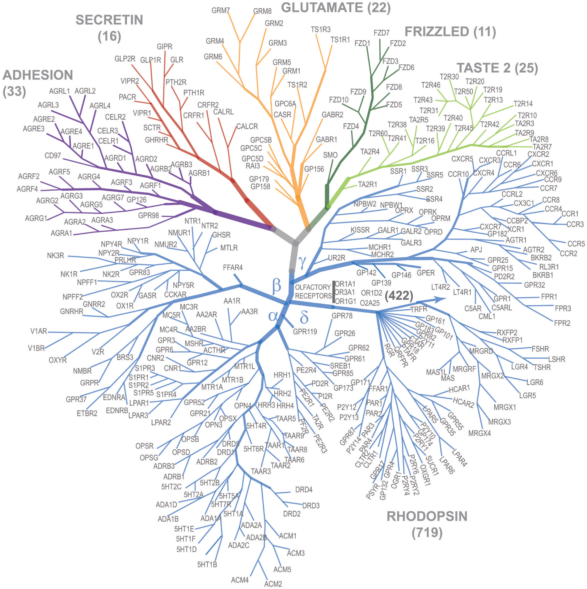 [MISSING IMAGE: tm225197d6-pht_tree4c.jpg]