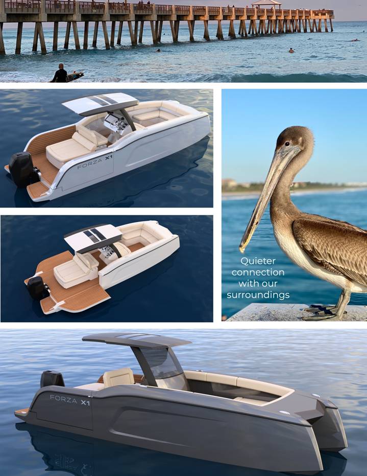 A bird standing on a boat

Description automatically generated with medium confidence