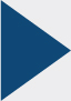 pg42_iconxarrowleftxblue.jpg