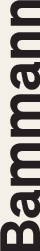 04_gfx_directorsnames_bammann_0.0808 in x 0.5021 in.jpg