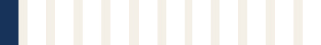 03_PRO012726_JP Morgan Chase_Proxy_2025_Board composition_bar_Military.jpg