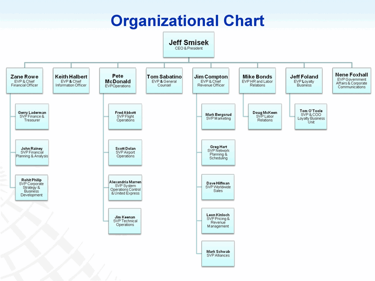 American Airlines Organizational Chart