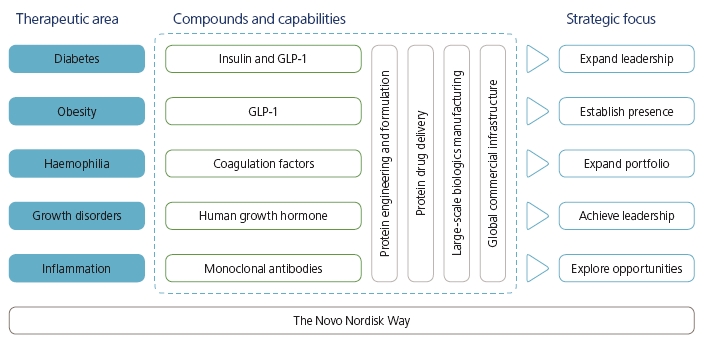 Novo Nordisk Organizational Chart