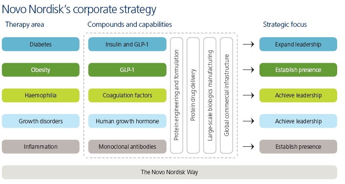 Novo Nordisk Organizational Chart