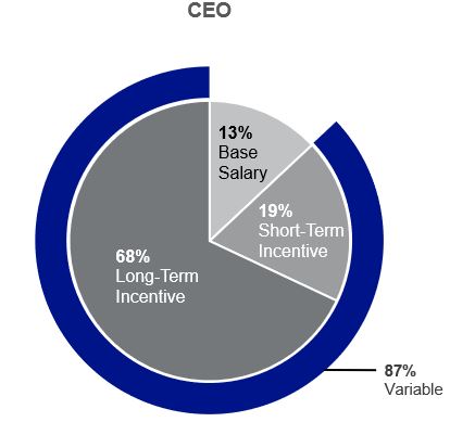 CEO Variable Income Pie Chart.jpg