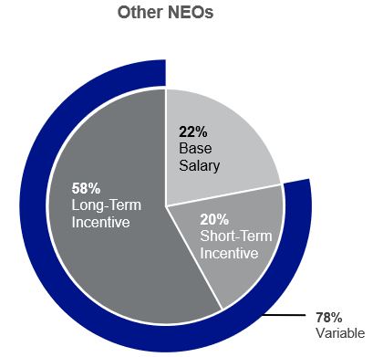 Other NEOs Variable Income Pie Chart.jpg