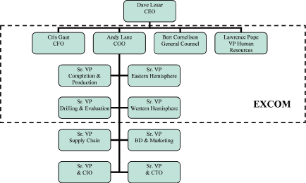 Halliburton Org Chart