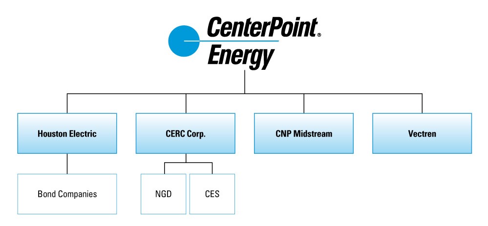 cnpstructurechart2colora01.jpg