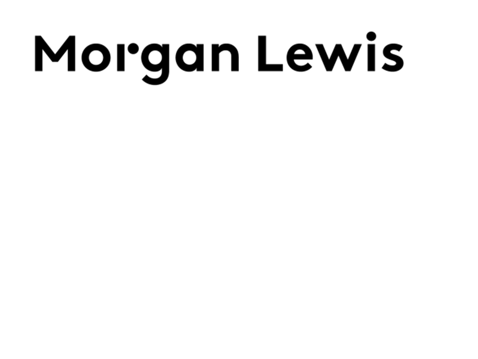 morganlewislogoa10.gif
