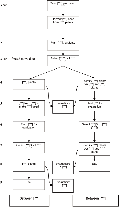 (ORGANIZATION CHART)