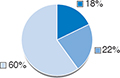 (PIE CHART)