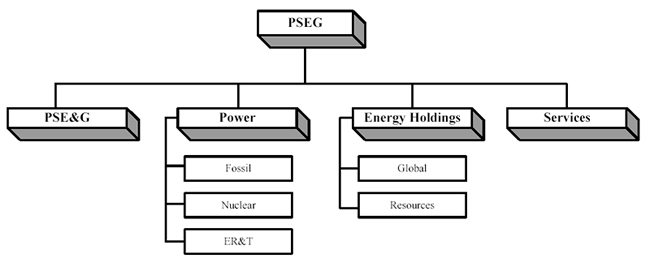 Pseg Organization Chart