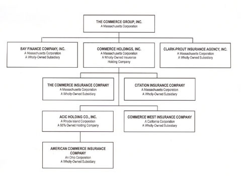 Cgi Organizational Chart