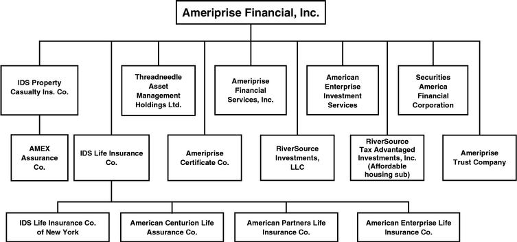 American Express Organizational Chart