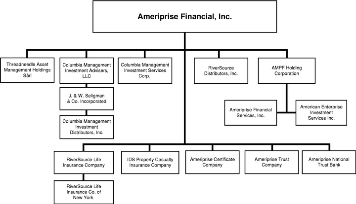 Registered Investment Advisor Organizational Chart