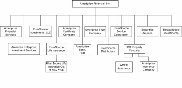 American Express Organizational Structure Chart