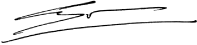 (COMPANY LOGO)