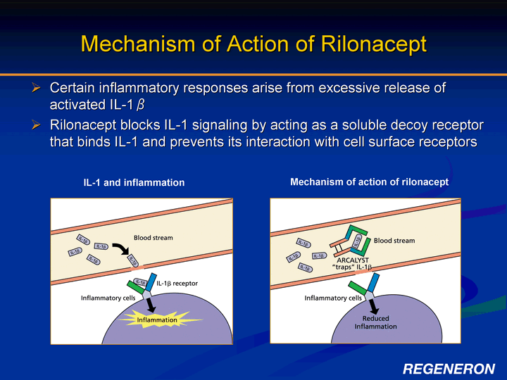 Mechanism of action. Рилонацепт. Bronchodilators mechanism of Action. Lamivudine mechanism of Action. Mechanism of Action of glucokinase Activators.