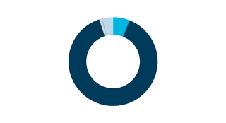 https://www.sec.gov/Archives/edgar/data/876437/000087643720000021/chart-f288600c82bc5bc4be5.jpg