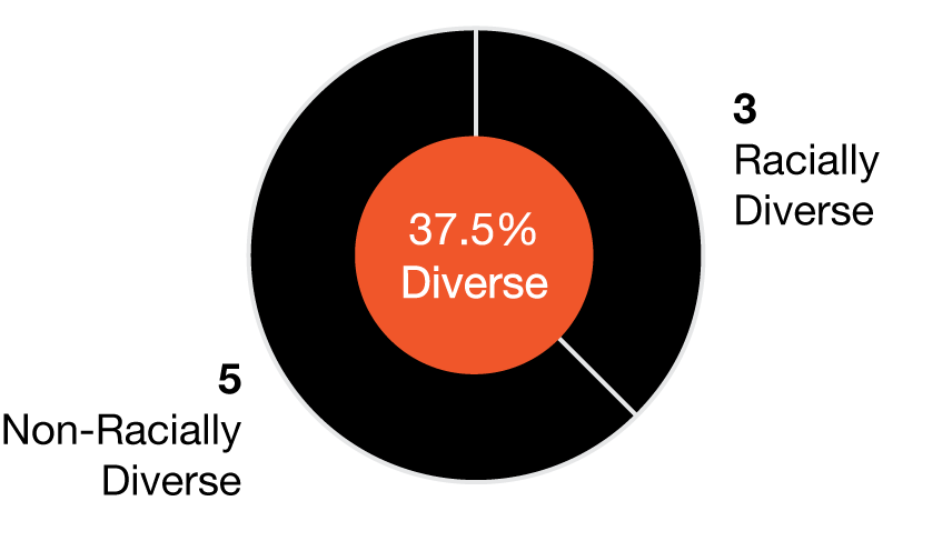Diversity-Charts2.gif