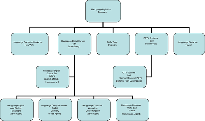 Best Buy Store Organizational Chart