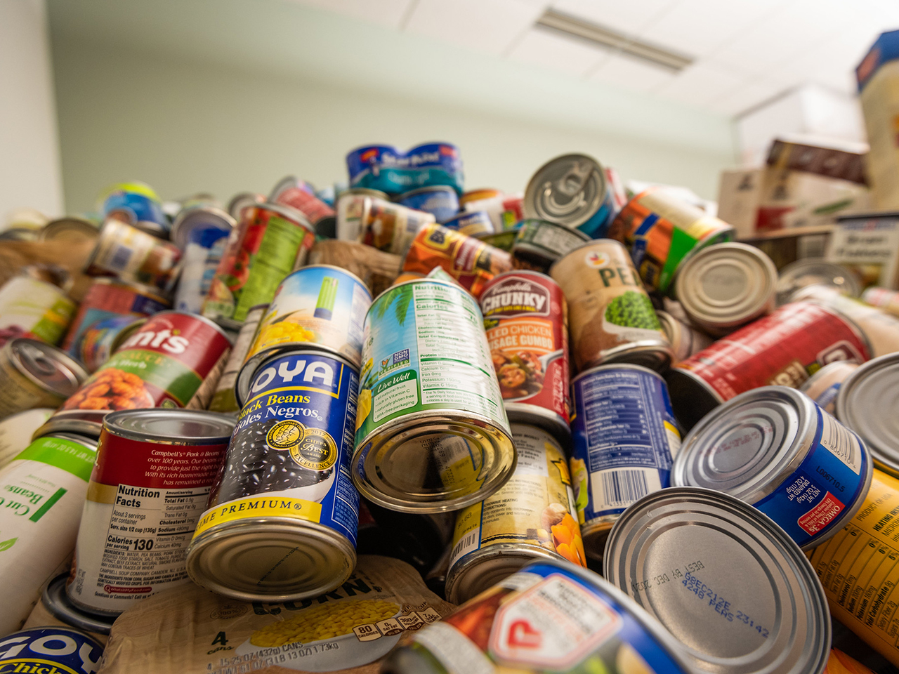 Image of collected food donations